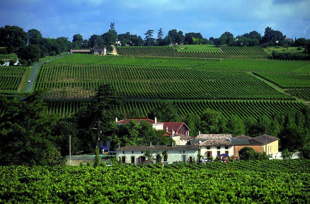 Chateau Rousselle Bed & Breakfast Saint-Ciers-de-Canesse Exterior foto
