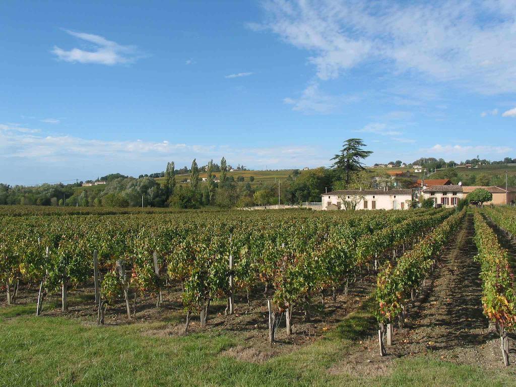 Chateau Rousselle Bed & Breakfast Saint-Ciers-de-Canesse Exterior foto